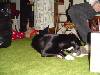 Christmas 2005 26.JPG